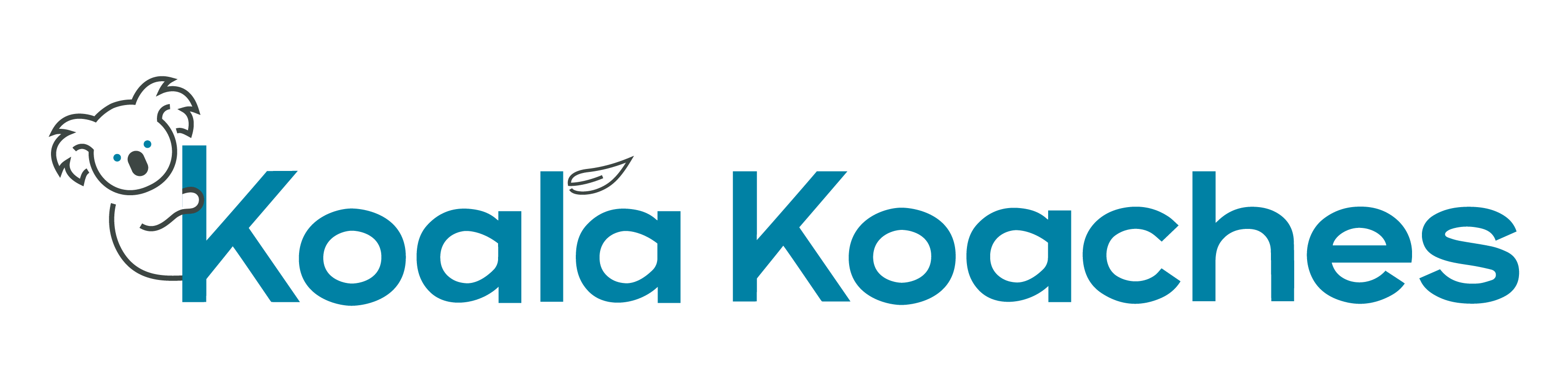Koala Koaches Charter Self Drive